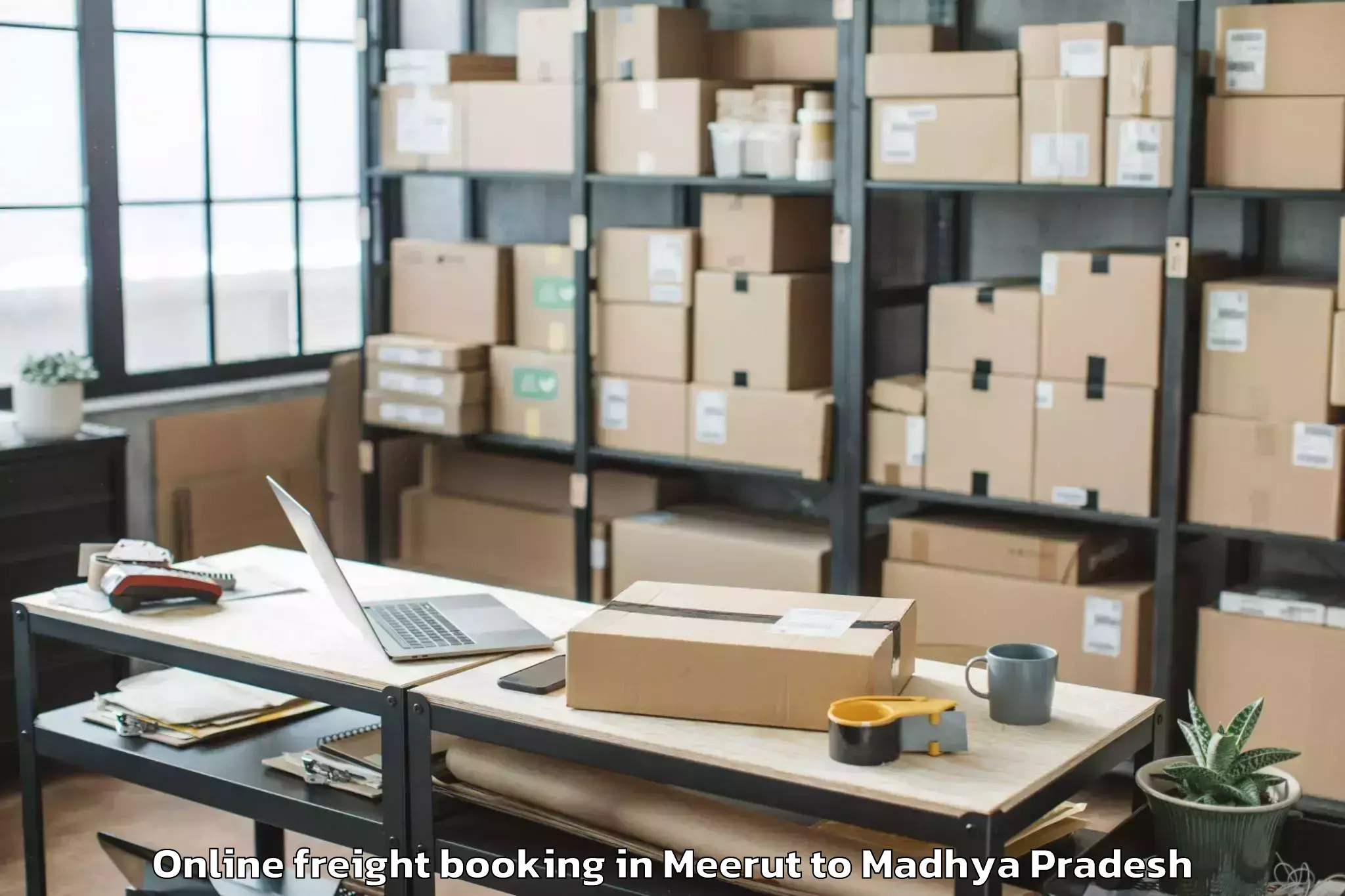 Expert Meerut to Biaora Online Freight Booking